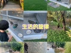 -厦门悦华酒店