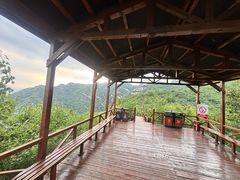 -大岭沟猕猴桃谷风景区