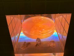 -金泽21世纪美术馆