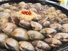 大白贝-水哥卜卜贝(东晓·胜汇里店)