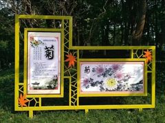 -青枫公园