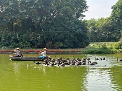 -广州长隆飞鸟乐园