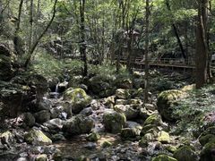 -牛背梁国家森林公园