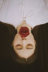 -京尚映画摄影