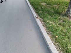 -长春公园(普阳街道)