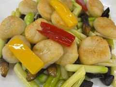 -骏莱海鲜鱼港(五角场店)