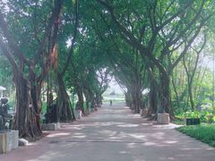 -广州雕塑公园
