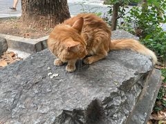 -宝通禅寺