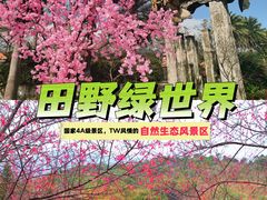 -田野绿世界