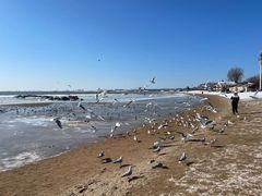 -老虎石海上公园