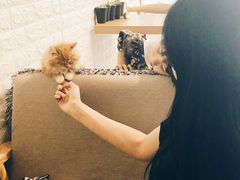 -平行世界·猫咖(首经贸店)