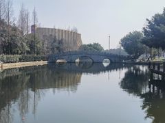 -河泥荡文化公园