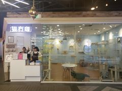 -猫冇咖·家门口的撸猫馆(大融城店)