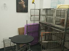 -八公叔叔宠物美容连锁(春申店)