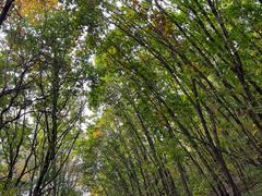 -三块石国家森林公园