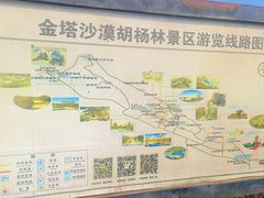 -金塔沙漠胡杨林景区