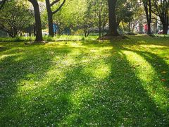 -石家饭店中市店