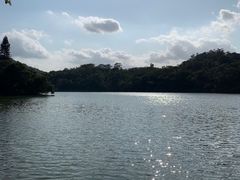 -深圳仙湖植物园