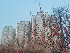 -山东大学(趵突泉校区)