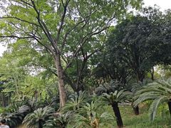 -柳侯公园