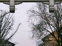 -龙潭水乡