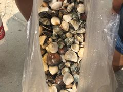 -北海金海湾红树林生态旅游区