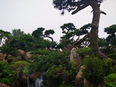 -罗红摄影艺术馆