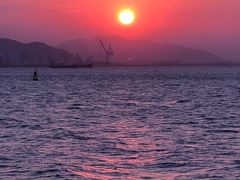 -演武大桥观景平台