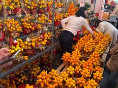 -越秀西湖花市(广州城市广场花卉店)