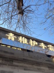 -青稚护手霜QINGZHI
