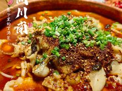 -向川南·水煮鱼·川菜(和平里店)