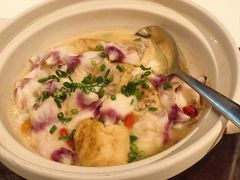 清汤鱼腐煮美女花-炳胜品味(珠江新城店)