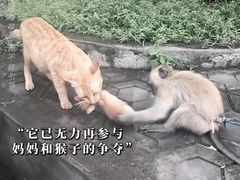 -昆明动物园