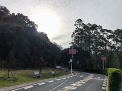-黄埔油麻山森林公园