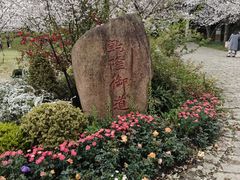 -苏州上方山国家森林公园
