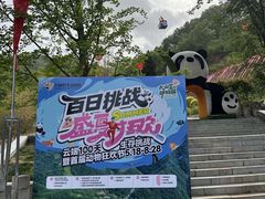 -栾川竹海野生动物园