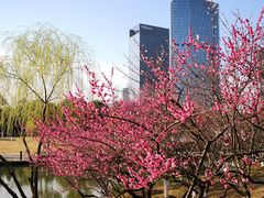 -白塘生态植物园