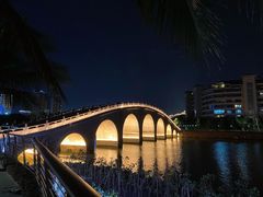 -万绿园