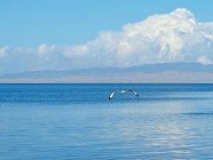 -青海湖国家重点风景名胜区