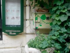 -露西亚咖啡西餐厅(哈尔滨俄侨纪念馆店)