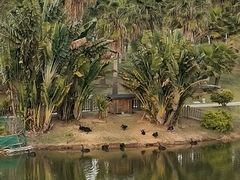 -厦门国家会计学院