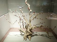 -陕西自然博物馆