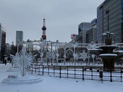 -大通公园