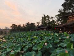-南通濠河风景名胜区