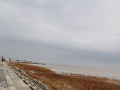 -南汇新城海滩