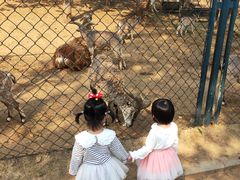 -大连森林动物园