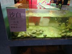 -真浪大家乐海鲜餐馆