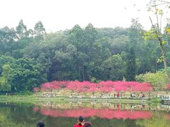 -南国桃园旅游度假区