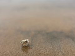 -青岛第三海水浴场