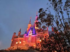 -上海迪士尼度假区